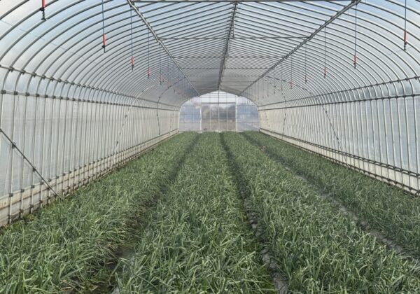 348.福田農園さん in高根沢