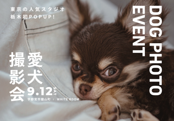 【愛犬撮影会】東京の人気スタジオが栃木初開催！（要予約）